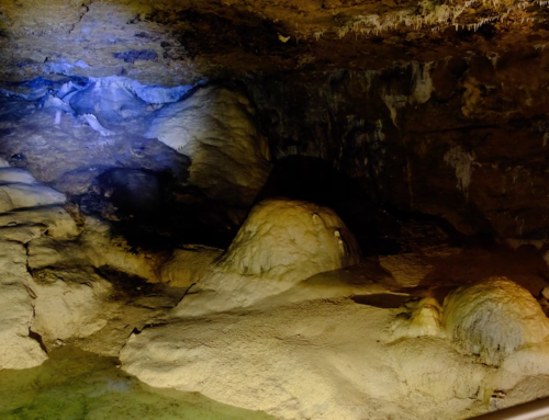 Les chauves-souris des Balcons du Dauphiné